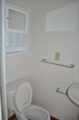 bathroom #2, view 1