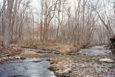 7855 Gordon Lane creeks across road
