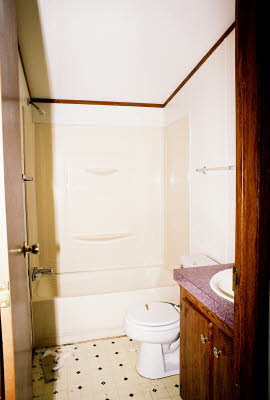 bathroom1